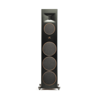 MartinLogan Motion XT F200 variant 4