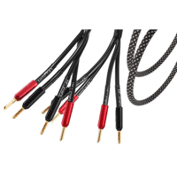 Atlas Cables Hyper Achromatic Z/S Bi-wire variant 1