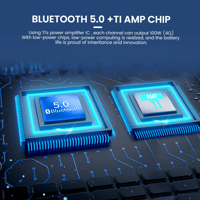 Aiyima AIYIMA T9 variant 4