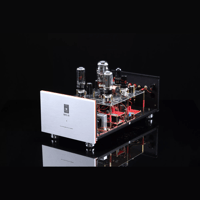 SW1x MPA II “Morpheus” Mono Power Amplifier variant 9