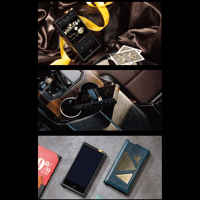 Cayin N8ii variant 19