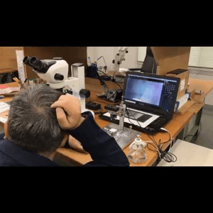 Thumbnail of the video review https://www.youtube.com/watch?v=CCAVGZQ_Nxo