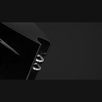 Borresen Acoustics Børresen 01 variant 7