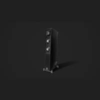 Borresen Acoustics Børresen X2 variant 1