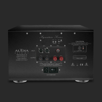 Audia Flight STRUMENTO n° 8 Signature variant 3