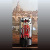 AGD Production Gran Vivace variant 14