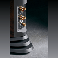 Audiovector R 8 variant 11