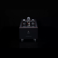 SW1x MPA II “Morpheus” Mono Power Amplifier variant 1