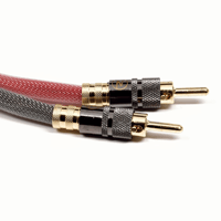 Benchmark Speaker Cable - Banana to Banana - 2 pole variant 2