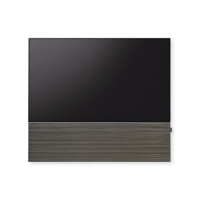 Canvas CANVAS front 65 variant 30