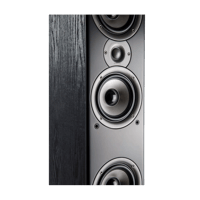 Polk Audio Monitor 60 Series II variant 3