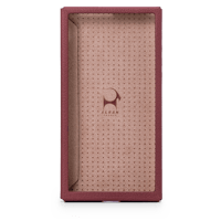 Astell & Kern PD10 Case variant 5