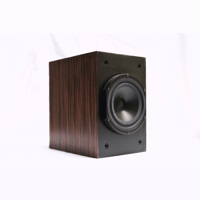 Vandersteen VLR CT variant 6