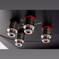 MartinLogan Neolith variant 2