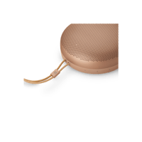 B&O-Bang & Olufsen  Beosound A1 3rd Gen variant 5