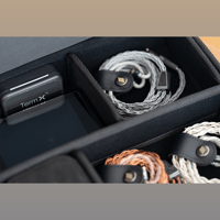 Effect Audio Chamber Carrying Case variant 4