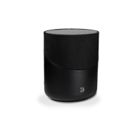 Bluesound PULSE M variant 3