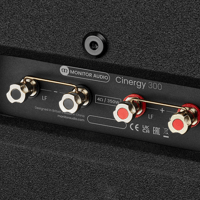 Monitor Audio Cinergy 300 variant 8