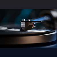 Sumiko Amethyst variant 4