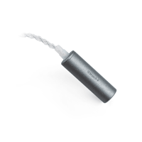 ifi Audio iEMatch+ variant 2