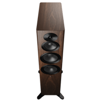 Dynaudio Focus 50 variant 7