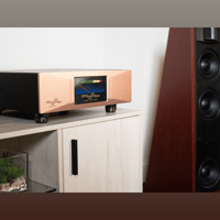 Merrill Audio ELEMENT 110 Power Amplifier Monoblocks variant 4