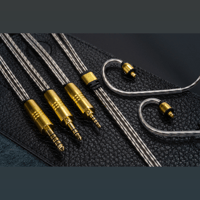 Campfire Audio Time Stream: Silver variant 5