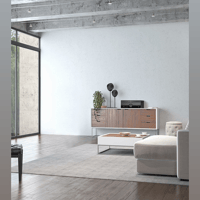 Steinway Lyngdorf P100 2.1 variant 8