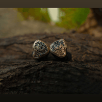 flipears  Aegis variant 1