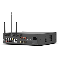 Arylic A100 100W x 2 Power amplifier with FM variant 4