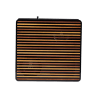 REL Acoustics Planar PL-1 variant 12