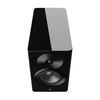 Dynaudio Focus 10 variant 4