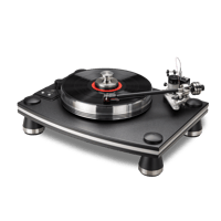 VPI Industries VPI Dragon variant 3