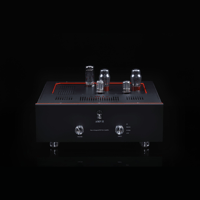 SW1x AMP II “Electra” Integrated Amplifier variant 1