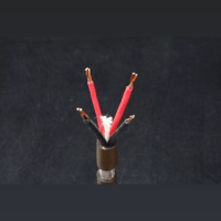 SW1x Magnum Reference Litz Copper Cable variant 7