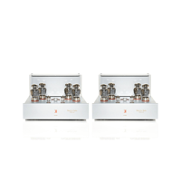 Black Ice Audio Fusion F165M Reference Mono Block Tube Power Amplifier(Pair) - 175 WPC* variant 8