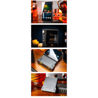 Cayin N6iii R202 variant 19