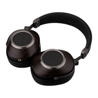 Sivga Audio Hi-Fi Dynamic Driver Open-back Over-ear Wood Headphone variant 2