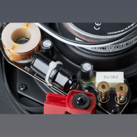 MartinLogan IC6 variant 9