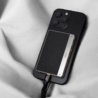 Oriolus NiPO A100 Silver variant 2