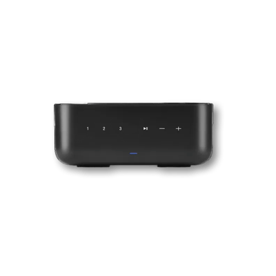 Denon Denon Home Amp