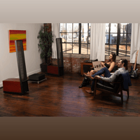 MartinLogan Expression  ESL 13A variant 45