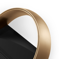 B&O-Bang & Olufsen  Beoremote Halo variant 6