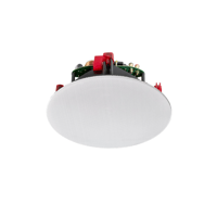 MartinLogan IC8-AW variant 4