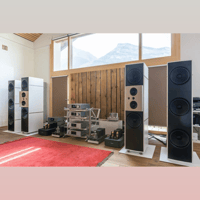 Stenheim reference statement variant 8