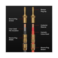 Fluance High-Fidelity 12 Gauge Speaker Wire with Dual Gold-Plated Banana Plugs variant 4