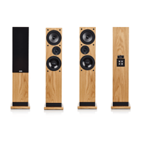 ProAc Loudspeakers Response DT8 variant 6