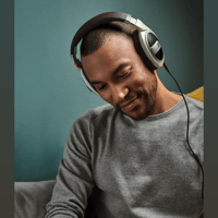 Sennheiser HD 599 variant 5