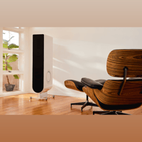 PS Audio Aspen FR20 Loudspeaker variant 3