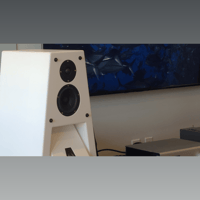 Gershman Acoustics 30th Anniversary Black Swan variant 10